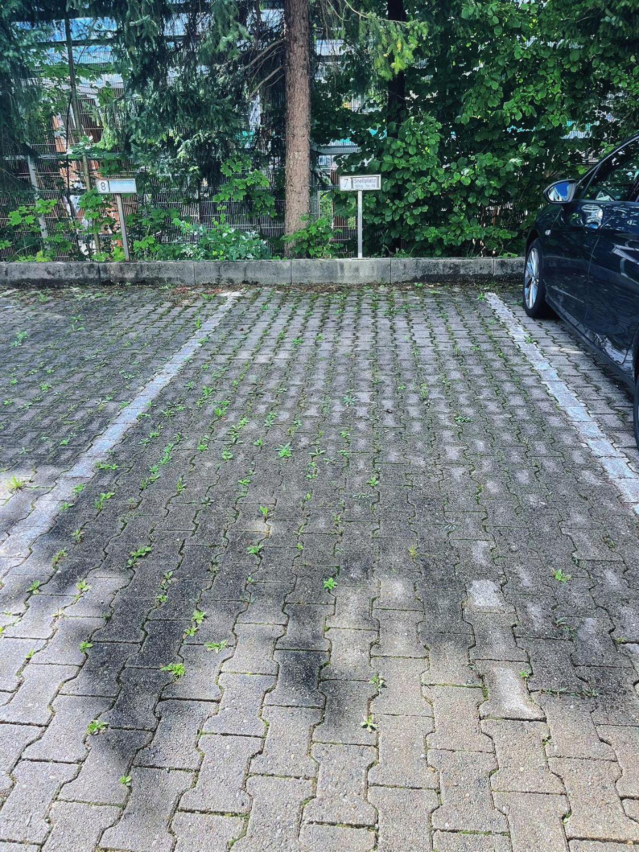 זונטהופן Grosszuegige Wohnung, Bergblick, Vintage מראה חיצוני תמונה